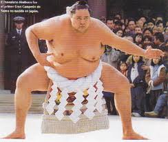 Sumo6.jpg