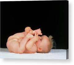 Naked infant girls|Naked Baby Girl Greeting Card