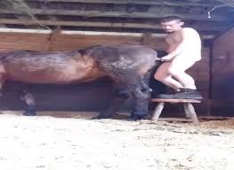 Man fucking a giant ass mare hard jpg x Guy fucks mare