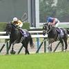 【天皇賞(春)レース後コメント】ジャスティンパレス C.ルメール騎手 ...