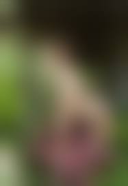 julia ヌード|ジュリア 無修正ヌード画像 Sexdep Julia Joy Hit Photos