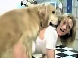 Multiple girls have rough animal sex with dogs jpg x Girl dog sex