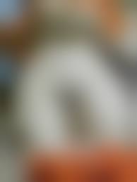 desi girls teen pussy|desi indian sexy pink pussy teen girl loves to eat cum - XNXX.COM