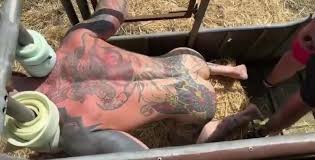 Sex with farm animals jpg x Sex with farm animals