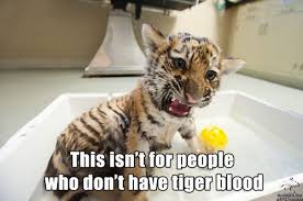 Tiger Blood