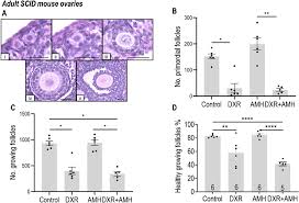 Pre pubertal girls nude |Pediatric Gynecology | GLOWM