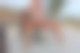 mature pissing porn|Pissing - MatureTube.com