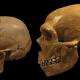 Humans and Neanderthals had sex a lot earlier than scientists thought 