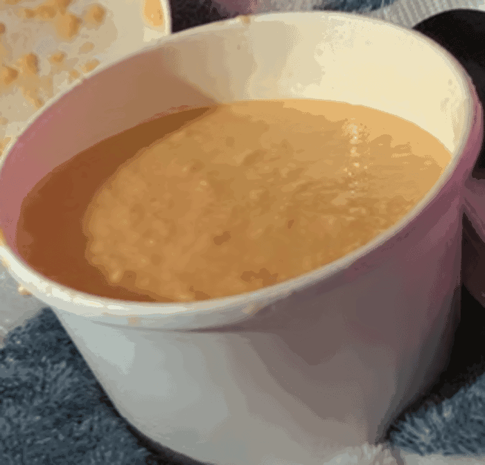 New York Bagel Cafe by null