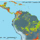 Carbon capture is substantial in secondary tropical forests 