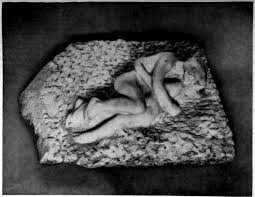 dead naked girl real corpse gore necro rape|necrophilia (Sorted by Popularity Ascending)