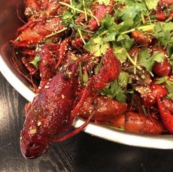 Spicy Charm 辣魅 by null