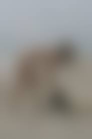 amateur beach nude |Amateur Beach sex: 58 Nude Pics | xHamster