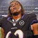 Ex-Raven sentenced to 9 months behind bars for animal cruelty 