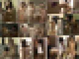 超S級C級 けしからん 風呂盗撮超SC級ハイビジョン 盗撮けしからん|SC限定お風呂盗撮SP第三弾