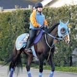 ホープフルステークス, 競馬の競走格付け, 予想, デイリー杯2歳ステークス