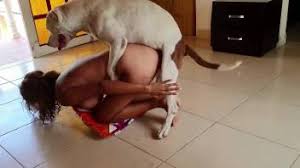 Innocent girl fucked a huge hound jpg x Women fucked by dog