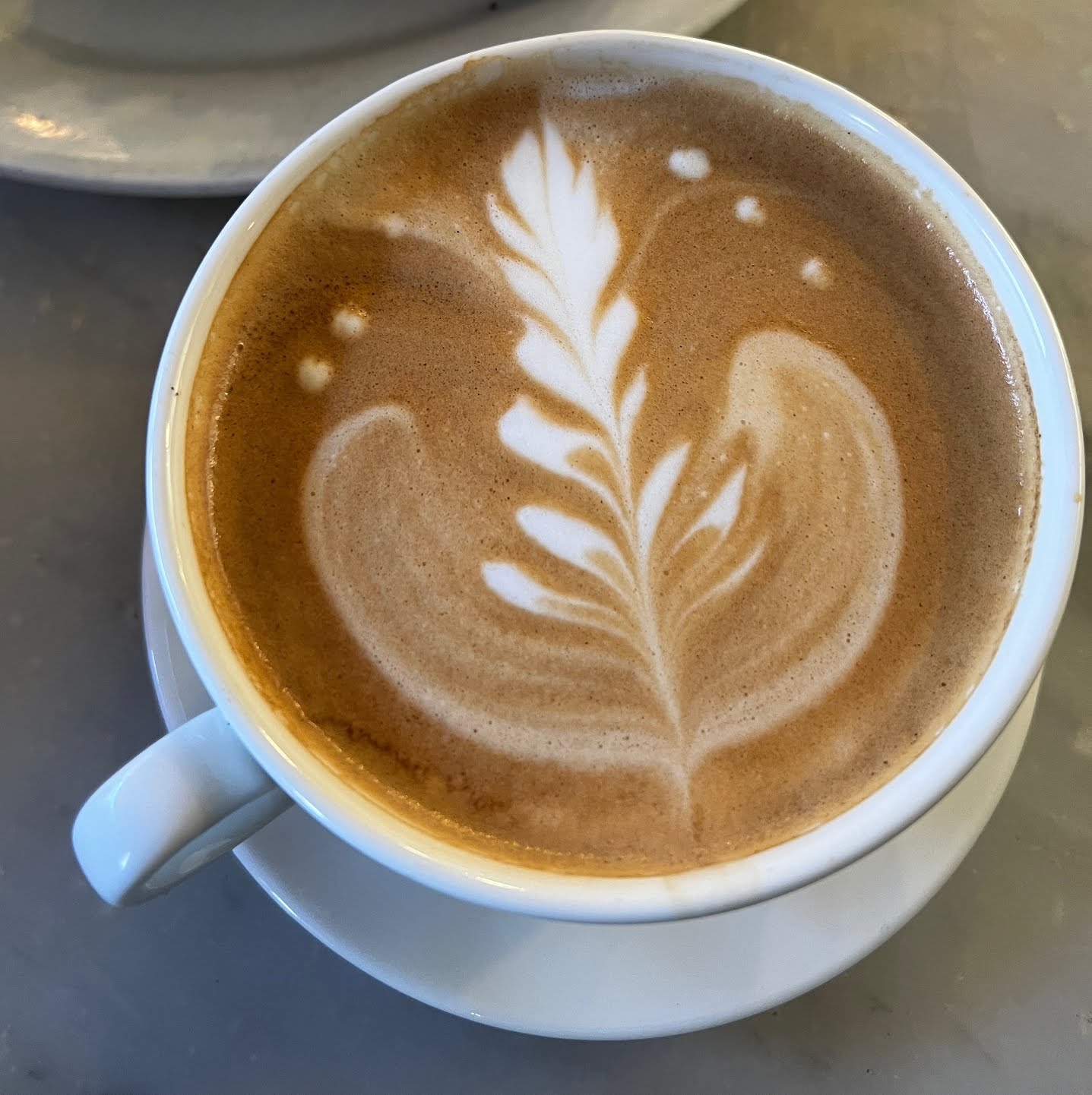 Aroma Coffee & Tea Co by null