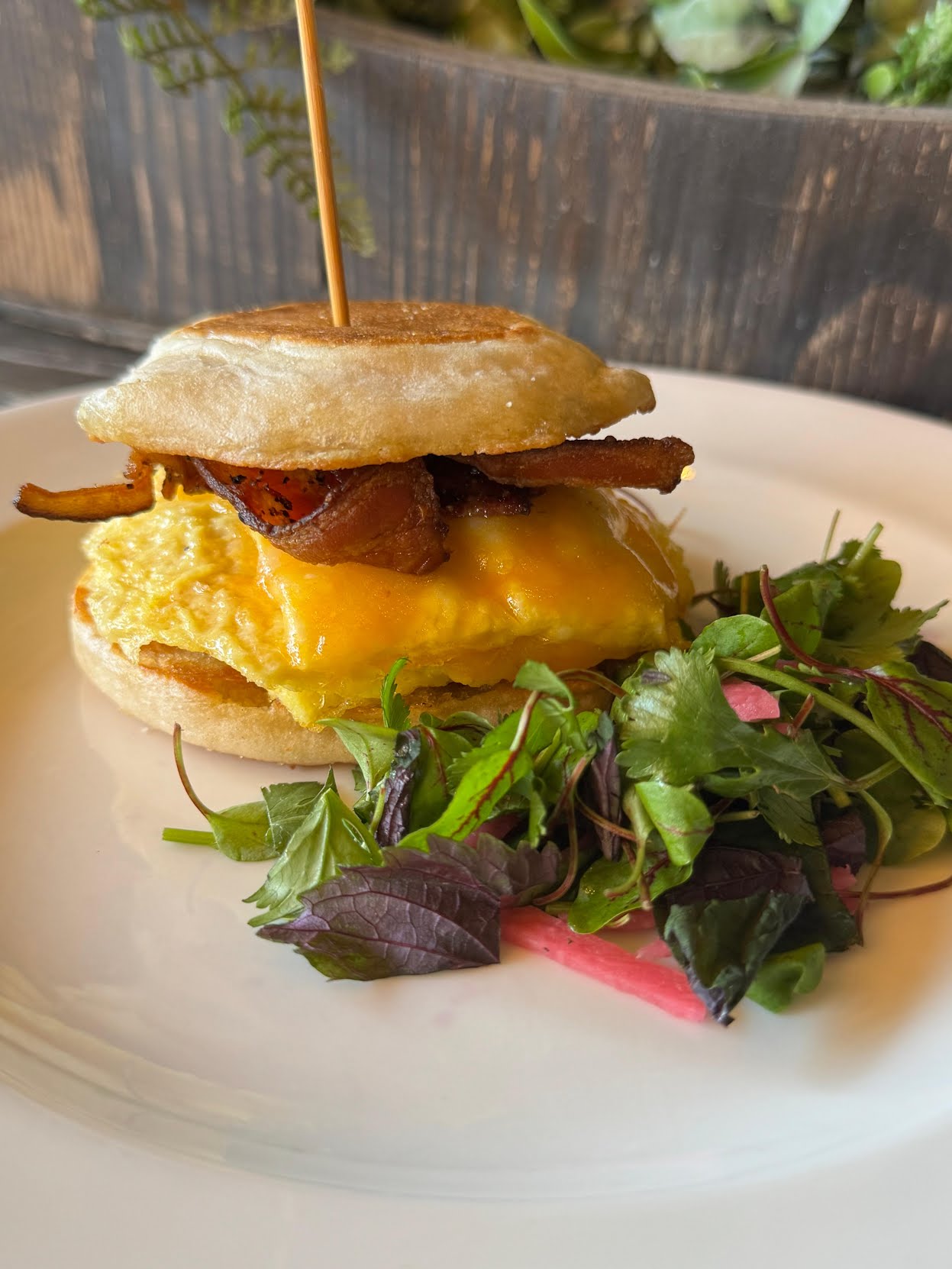 Tiato Kitchen + Venue by null