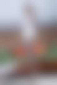 beautyleg 1717|Beautyleg美腿写真] 2019.01.25 No.1717 Yoyo [48P]-第3页-洛秀网