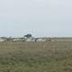 Pilot hurt after light plane crash east of Adelaide 