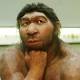 DNA results are in: Early humans and Neanderthals made babies together 
