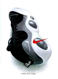 Zoom Flight 95