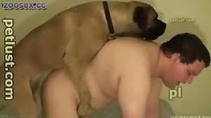 Guy hard cock is going to ruin that dog throat jpg x Guy fucked by dog