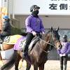 【大阪杯】上昇カーブを描くポタジェが２度目のＧ１挑戦 陣営「体 ...