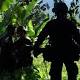 Philippine troops 'kill six Abu Sayyaf militants' 