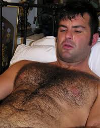 Hairy chest volodomyr zelenskyj the hapenis project jpg x Hairy chest