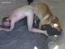 Dog fucks guy against wall gaybeast rip boy fucks pet jpg x Guy gets fucked by dog