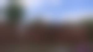 line up nude|Nude lineup with panties down : r/behindtheknee