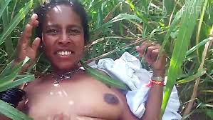 Jungle beavers porn videos jpg x Jangle sex