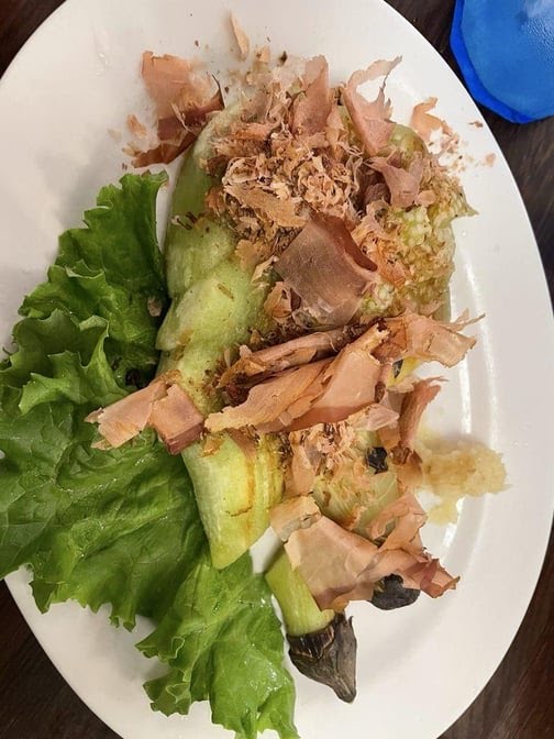 Azuma Japanese Restaurant by null