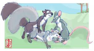 Rule if it exists there is porn of it andie siriusandpyri grayson surly jpg x Nut job