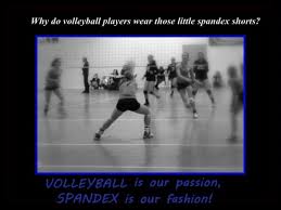 Hot volleyball shorts jpg x Sexy volleyball shorts