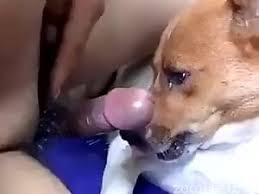 Hot porn with man fucking female dog zoo porn jpg x Man fucking female dog