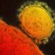 CDC: Second US MERS Case Confirmed