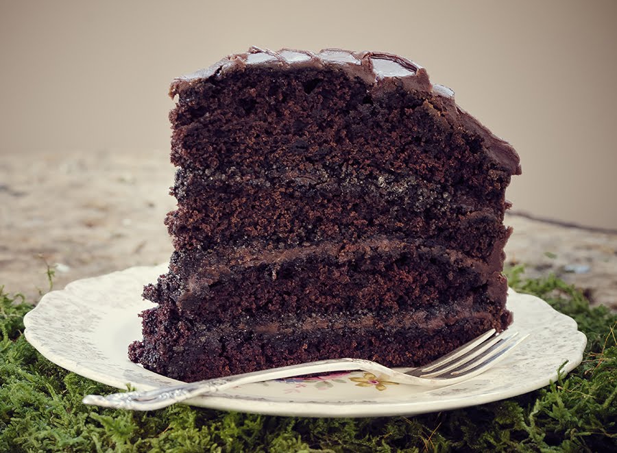 The Red Fern by null