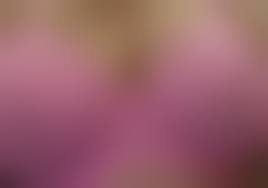 下着 Incest|ランジェリーのエロ動画・アダルトビデオ一覧｜FANZA動画