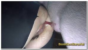 Pig porn man pig creampie female pig pussy fuck jpg x Pig fuck girl