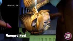 Watch jungle heat hentai furry animation babe porn spankbang jpg x Jungle heat