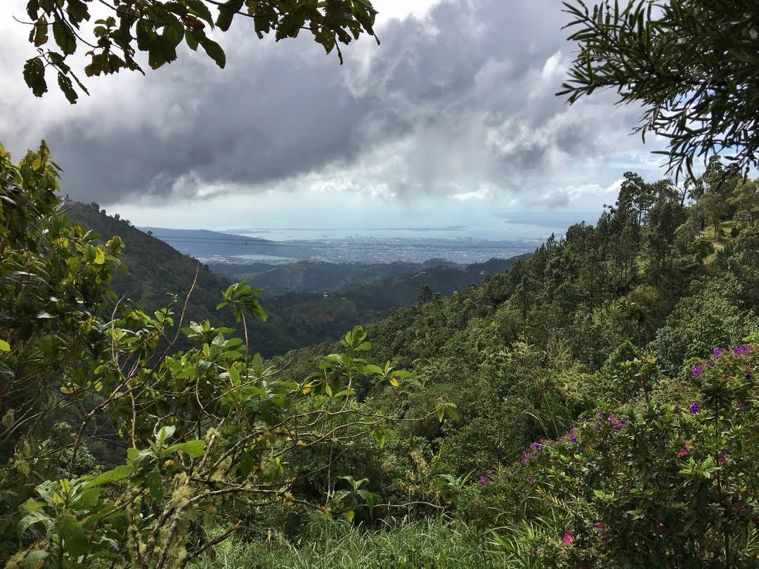 Blue Mountains by Google