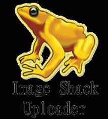 �� ����� ��� ���� ����� �� ������ ������ imageshack images?q=tbn:ANd9GcQ