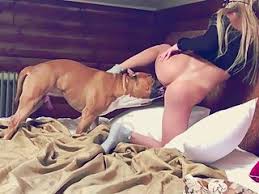 Dog licking pussy jpg x Dog licking pussy