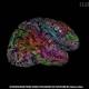 A Brand New 'Atlas' Shows Where Different Ideas Live In Our Brains 