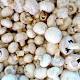 CRISPR-Edited Button Mushroom Bypasses GMO Food Rules: USDA Explains Why 
