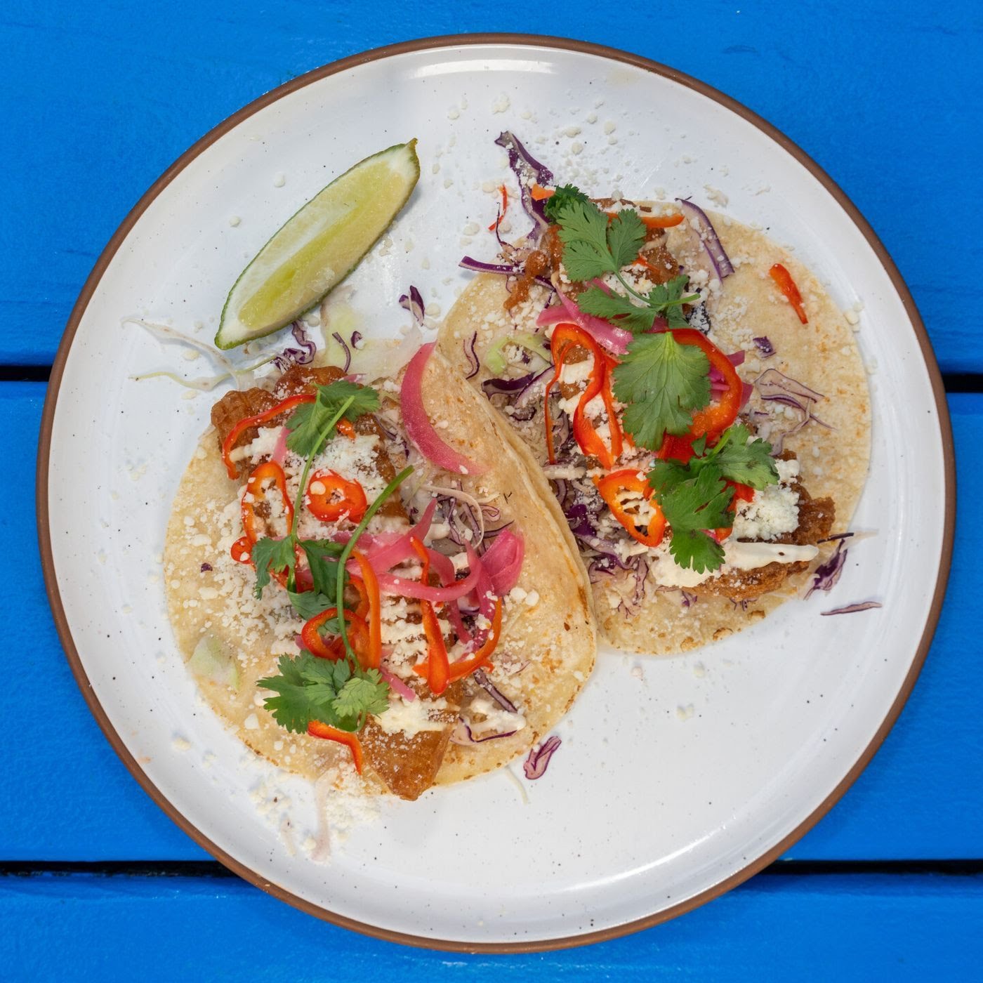 Flying Fish Company LLC by null