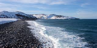 Russian nudist city|Naked model bares all on freezing Russian streets in cost-of-living protest  against Putin - World News - Mirror Online